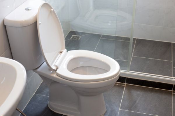 Toilet Replacement in Danbury