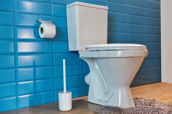 Cost of Toilet Tank Repair in Danbury