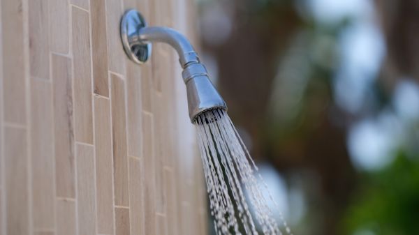 Cost of Showerhead Repair in Danbury
